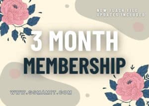 3 months Membership