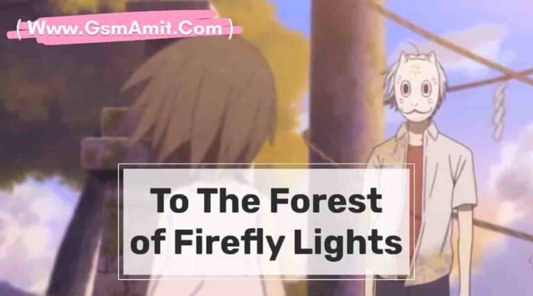 To the Forest of Firefly Lights