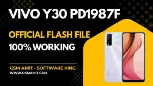 Vivo Y30 PD1987F Official Flash File (Stock ROM)