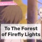 To the Forest of Firefly Lights