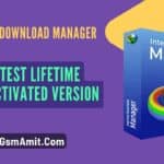 Internet Download Manager (IDM) 6.42.42